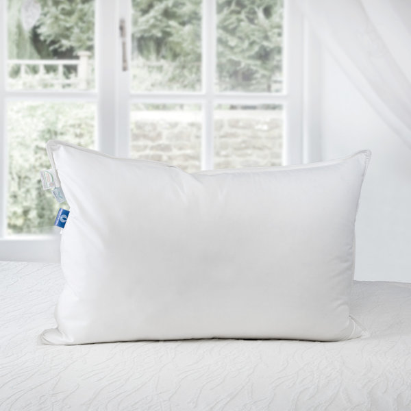 Alwyn Home Nayara Canadian Hutterite Goose Down Pillow & Reviews